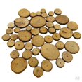 thumbnail image 1 of KLKCMS 100 Pcs Tailles Assorties Tranches de Bois d'Arbre Naturelles Cercles Ronds en Rondins Disques, 1 of 9