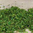 thumbnail image 5 of facefd 33ml Miniature Leaf Static Model Railway Sand Table Diorama for Ornaments Green B, 5 of 5