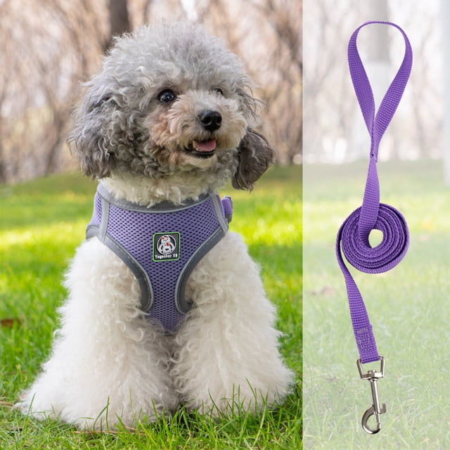 EGNMCR Pet Harnesses And Leash Set\ Soft And Breathable Vests With Reflective Strip\ Escape Proof Pet Harnesses\ Easy To Wear For Pet Walking And Running Dogs leash