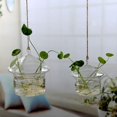 thumbnail image 5 of Hanging Glass Flowers Plant Vase Bottle Terrarium Container Home Garden Decors, 5 of 5