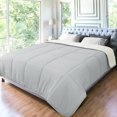 thumbnail image 1 of PiccoCasa King Soft Lightweight Down Alternative Comforter Light Gray&Beige, 1 of 7