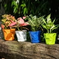 thumbnail image 4 of Plant Pots Set 6pcs Plastic Planters With Trays 16.5*20cm Flower Container For Seedling  Transplanting  Cutting, 4 of 12