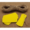 thumbnail image 1 of 100 Pcs Rectangular Shape Blank Tags Bonbonniere Wedding Favor Hang Tag with Free Natural Jute Twine - Colours Available, 1 of 7