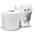 thumbnail image 2 of 2 Ply Mega Toilet Paper - 327 Sheets, 9 Rolls, 2 of 4