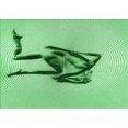 thumbnail image 1 of Ahgly Company Machine Washable Indoor Rectangle Transitional Green Area Rugs, 5' x 7', 1 of 7