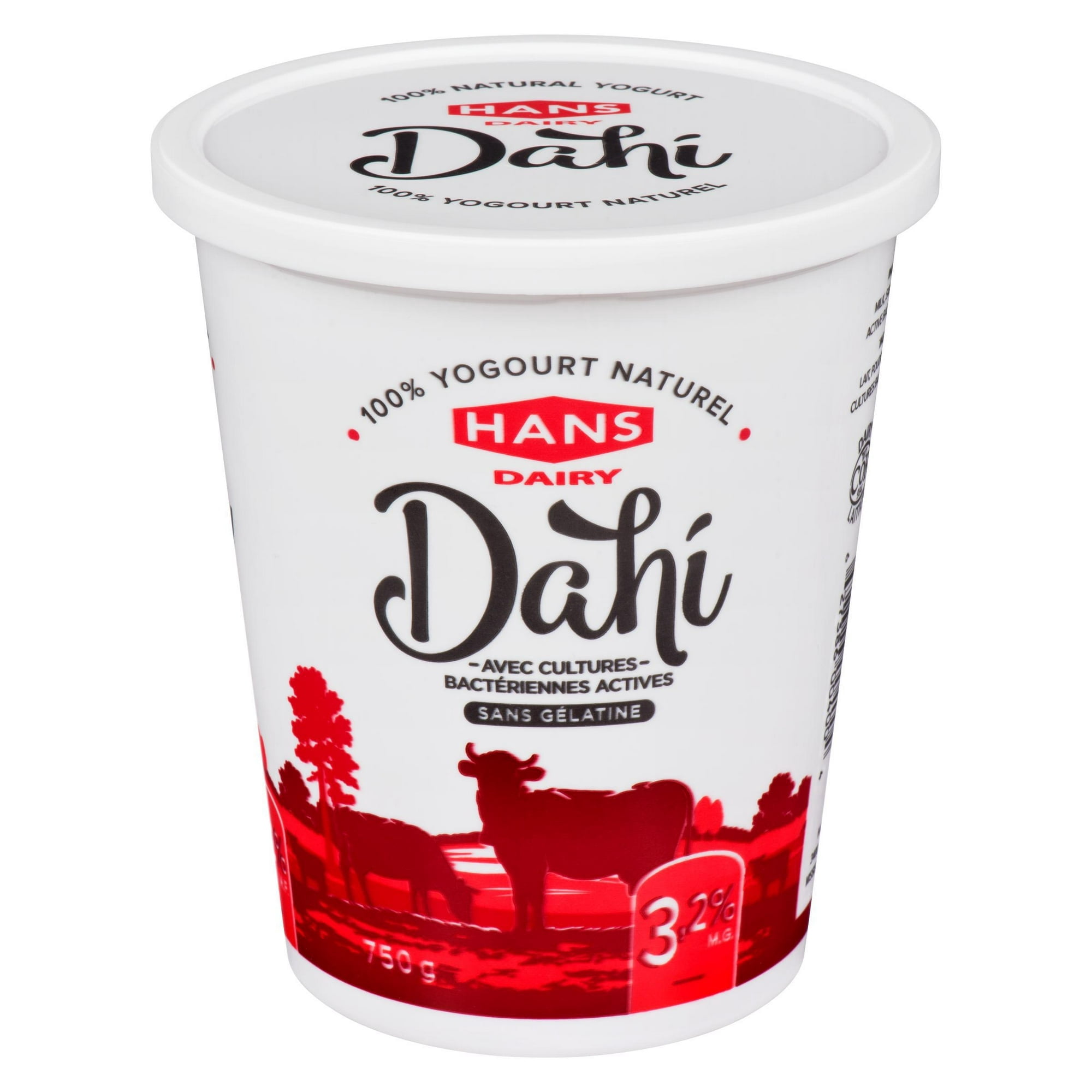 Yogourt nature Dahi de Hans Dairy à 3,2 % M.G.