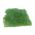 thumbnail image 2 of TISHITA Modèle Miniature d'Herbe en Tufting pour Paysage de Train Ferroviaire, 2 of 6