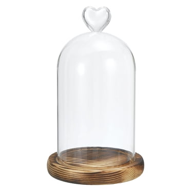 Unique Bargains 8.3'x3.5' Glass Dome Cloche Clear Bell Jar Display Case Tabletop Centerpiece with Wooden Base