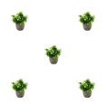 thumbnail image 1 of Decodeary Green Eco-friendly Artificial Money Tree In Pot Long-lasting Durability Realistic Appearance new blue babysbreath 5Set, 1 of 6