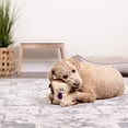 thumbnail image 2 of TrustyPup PBJ Plush Dog Toy, 2 of 5