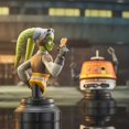 thumbnail image 4 of Gentle Giant - Star Wars Rebels - Buste d'Hera et Chopper, Lot de 2, 4 of 12