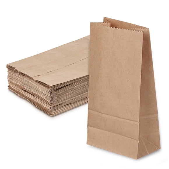 Bulk Paper Lunch Bags, Kraft Brown Snack Bags, for Craft, Lunch, Bread, Sandwich, Candy, Treats, Durable Brown Small Paper Sacks, 50 Count, 3.54x2.16x7.08"