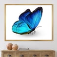 thumbnail image 3 of Designart Papillon bleu vibrant ART MURAL À CADRE FLOTTÉ, 3 of 4