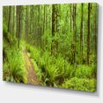 thumbnail image 2 of Lush Forest Path Columbia River, 2 of 3