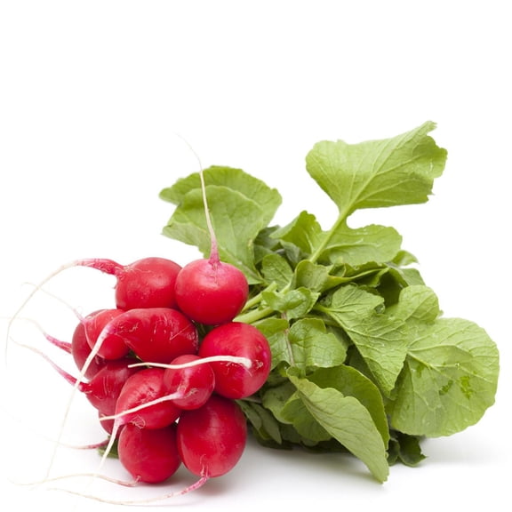 Radish Bunch, 1 lb