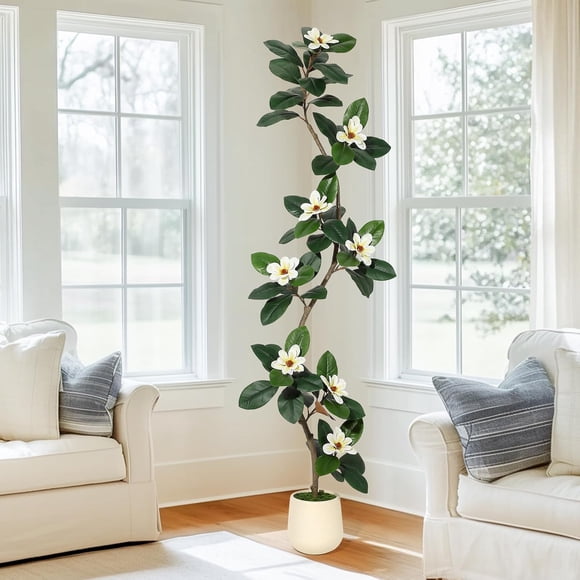 Rubber Tree 7FT Artificial Tree in White Planter Pot,Faux Plants Indoor Faux Floor Plant Artificial Plants with 8 Pcs Magnolia Flowers for Home Decor, Artificial Fiddle Leaf Fig Tree for Office