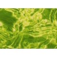 thumbnail image 1 of Ahgly Company Machine Washable Indoor Rectangle Transitional Dark Lime Green Area Rugs, 2' x 5', 1 of 7