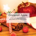 thumbnail image 3 of LITTLE TREES air freshener Cinnamon Apple 3-Pack, 3 of 8