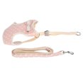 thumbnail image 3 of Harnais et Laisse pour Chat, Accessoires pour Chat Gilet de Marche Respirant avec Sangle Réglable, 3 of 8