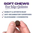 thumbnail image 2 of The Healthypup Co – Soins des Articulations – Gâteries pour Chiens Souples et Fonctionnelles avec Moule à Lèvres Vertes et Collagène, Sac de 4 Oz, 2 of 7