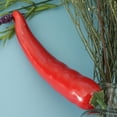 thumbnail image 2 of Abbracc Légumes Alimentaires Décoratifs P. Piment pour Enfants, Tel Que Décrit Piment Rouge, 2 of 9