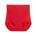 thumbnail image 1 of Womens Stretch High Waisted Seamless Underwear No Show Tummy Control Panties Soft Postpartum Full Coverage Briefs, 1 of 7