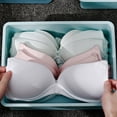 thumbnail image 2 of Ruiboury Compact And Efficient Underwear Organizer For Closet PP Organizer For Underwear Wide Applications Grey Bra storage box, 2 of 6