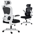 thumbnail image 1 of HOMCOM Ergonomic Office Chair, Mesh Desk Chair with Lumbar Support, Black, 1 of 10