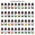 thumbnail image 4 of 10ML Pure Natural Plant Essential Oils Aroma Essential Oil Diffuser Eucalyptus Vanilla Mint Lavender Rose Tea Tree Essential Oil, 4 of 5