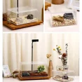 thumbnail image 5 of Habitat pour Reptiles Terrarium Boîte de Reproduction Acrylique Transparente Étanche Cage Araignée Lézard Scorpion Habitat Boîte d'Alimentation pour Insectes, 5 of 5