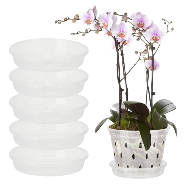 Clear Orchid Pots For Repotting,Indoor Planter With Drainage Holes And Saucer For Repotting Orchids
