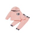 thumbnail image 1 of Baby Boys 2PCS Pants Sets Long Sleeve Round Neck Sweatshirt Tops Solid Color Pants Sets, 1 of 6
