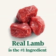 thumbnail image 2 of Nutro Natural Choice Large Breed Adult Dry Dog Food Lamb & Brown Rice Recipe 9.07kg, 2 of 9