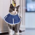 thumbnail image 3 of Pet Recovery Collar Cute Pet Protective Collar Wound Healing Anti Bite Recovery Elizabeth Circle Adjustable For Cat DogS, 3 of 8
