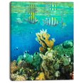 thumbnail image 2 of Fantastique Poisson Corail de Mer Rouge - Impression d'Art sur Toile de Bord de Mer, 2 of 3