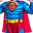 thumbnail image 4 of Rubies Superman Costume for Toddlers, Size 3-4T, 4 of 6