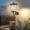 Black-B, variant on Hot Buy! Solar Outdoor Motion Sensor Lights, Solar Powered 3 Modes LED Security Wall Lights for Fence, Yard, Garden, and Front Door Lighting