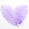 thumbnail image 1 of Ostrich Feather 30-35Cm Color Feather Decoration 61# Light Purple M Feather (1*Feather), 1 of 7