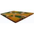 thumbnail image 3 of Mainstays Coir Doormat 18X30in, 3 of 5