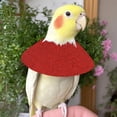 thumbnail image 3 of Pet Parrot E Collars Feather Plucking Collar Protective Recovery For Lovebird Agapornis C, 3 of 5