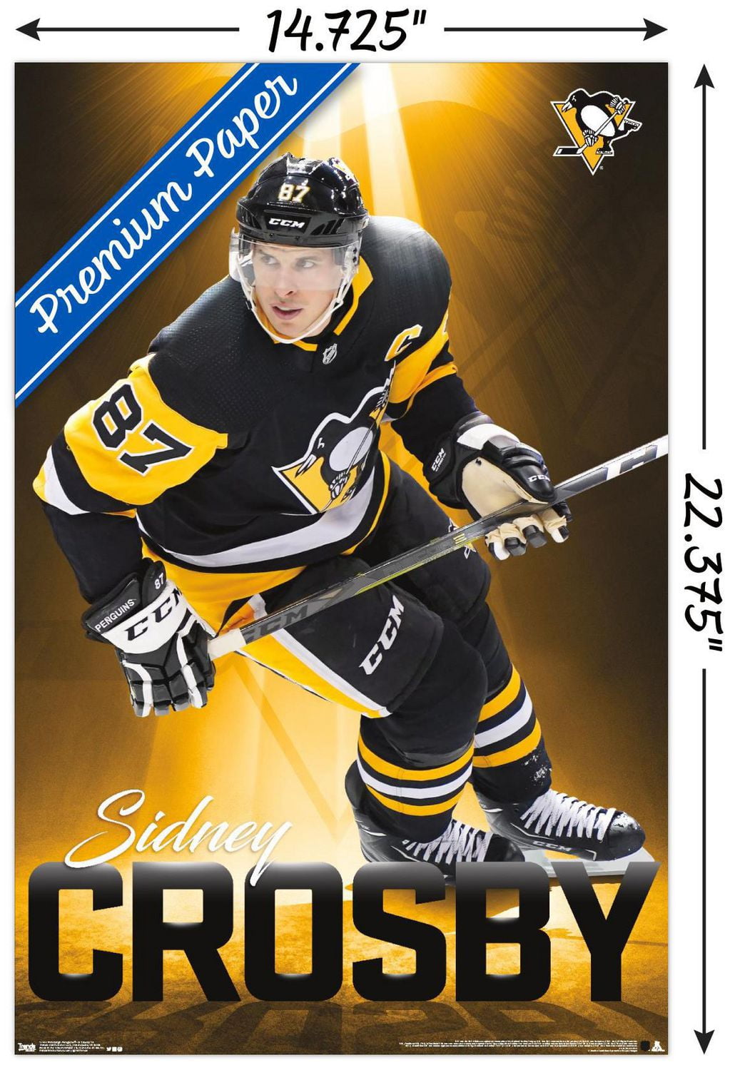 NHL Pittsburgh Penguins - Sidney Crosby 18 Wall Poster