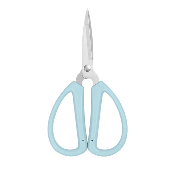 Birdeem Stainless Steel Scissors, Stainless Steel Household Scissors for Office and Study Students Cutting Plastic Handles Cutting Fabrics Cutting Thread Ends Pointed Diy Small Scissors