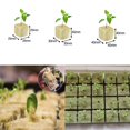thumbnail image 5 of MYG Flower Soilless Culture Substrate hydroponic Wool Block Grodan Rockwool Cubes, 5 of 5