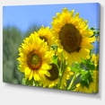 thumbnail image 2 of Magnifique Vue de Tournesols - Impression sur Toile Florale, 2 of 4