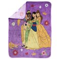 thumbnail image 2 of Disney Princess Silk Touch Fleece Throw, 2 of 6