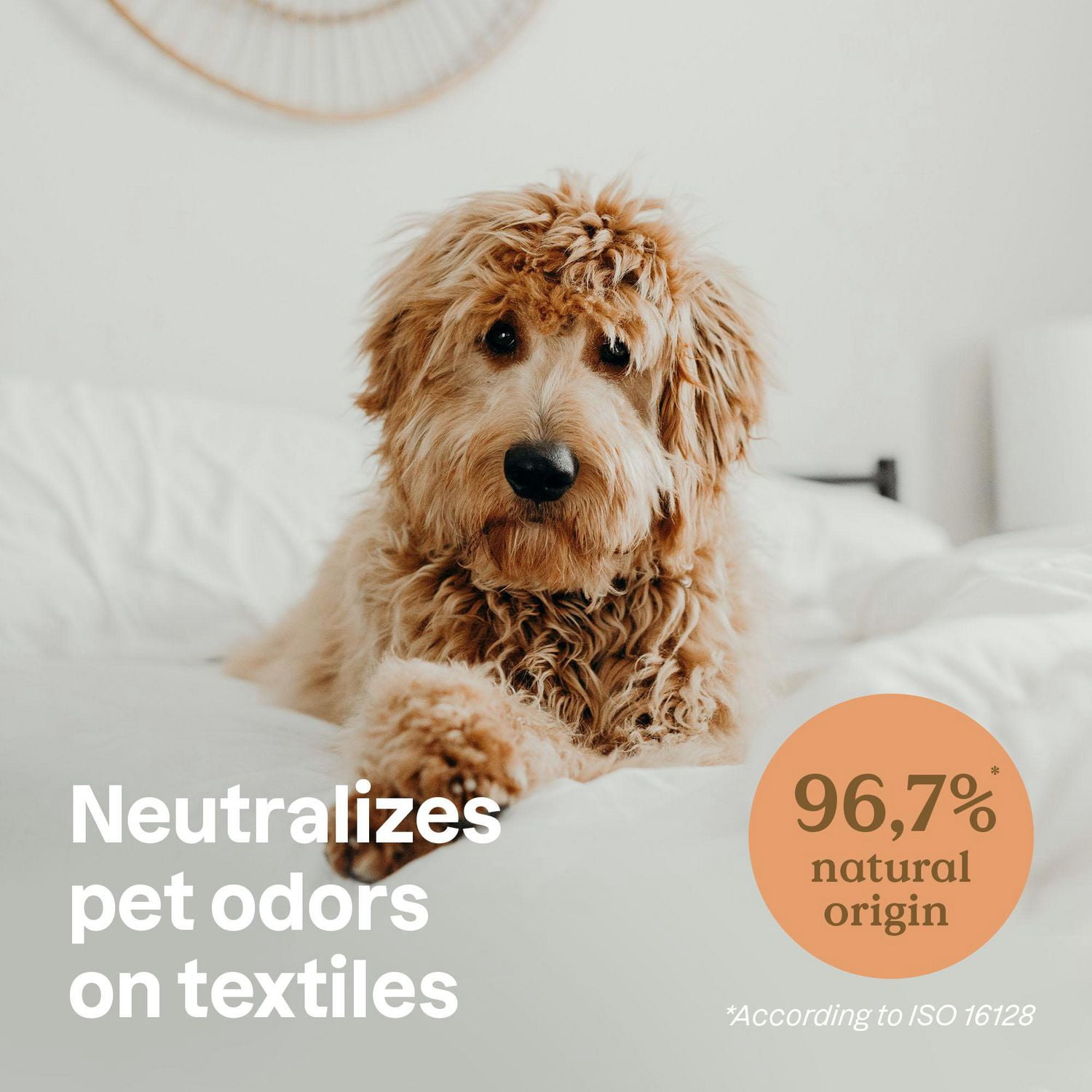 ATTITUDE Amis Poilus, Désodorisant Textile, Lavande, Produits de Nettoyage pour Animaux de Compagnie, Produits de Nettoyage pour Chiens, 2L