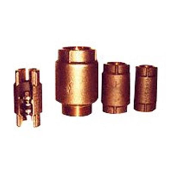 Simmons 503SB Check Valve - 1 In.