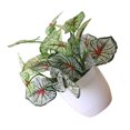 thumbnail image 2 of fastboy Artificial Potted Plant Leaf Simulation Leaves Home Office Desktop Greenery Decoration, Plant Type 16, 2 of 5