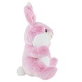 thumbnail image 3 of Way to Celebrate Easter Chubby Cheeks Bunny Plush Toy, Pink, 3 of 3