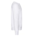 thumbnail image 3 of Fruit of the Loom Chandail Molletonné Raglan Léger pour Adulte, 3 of 3